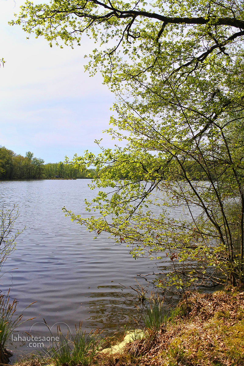 marceline-la-voirvre-etang-2