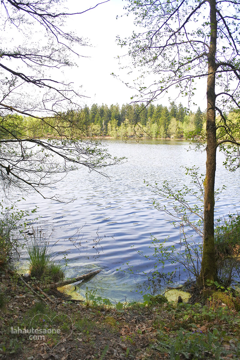 marceline-la-voirvre-etang