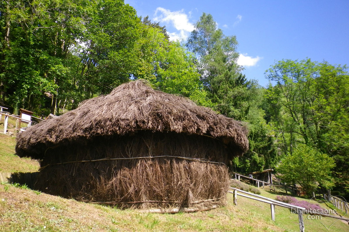 Muse de la Montagne