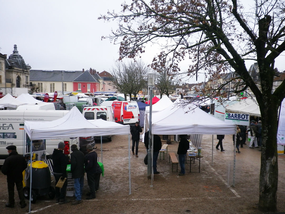 Foire de la Sainte-Catherine 2015