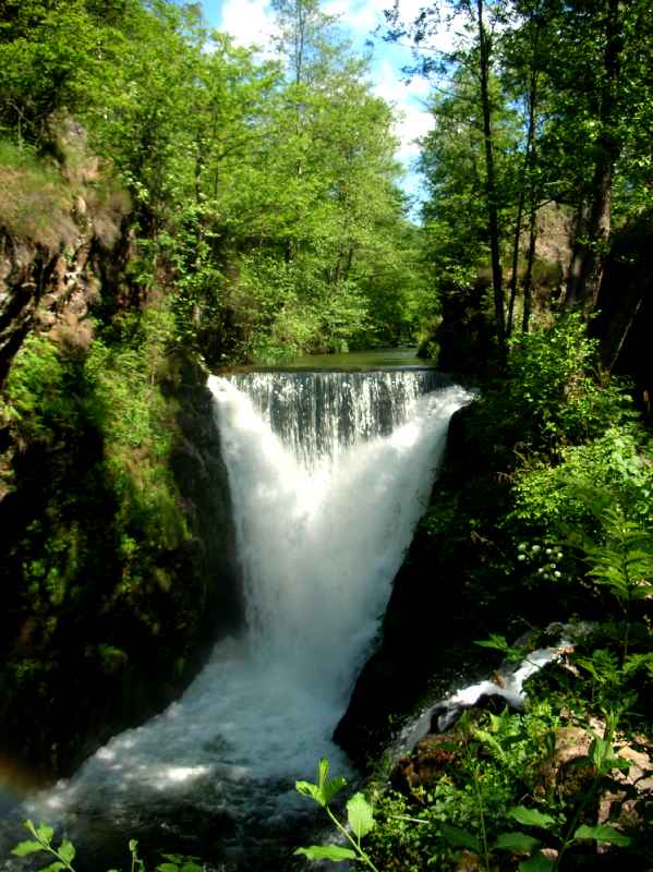 Saut de l'Ognon, Servance