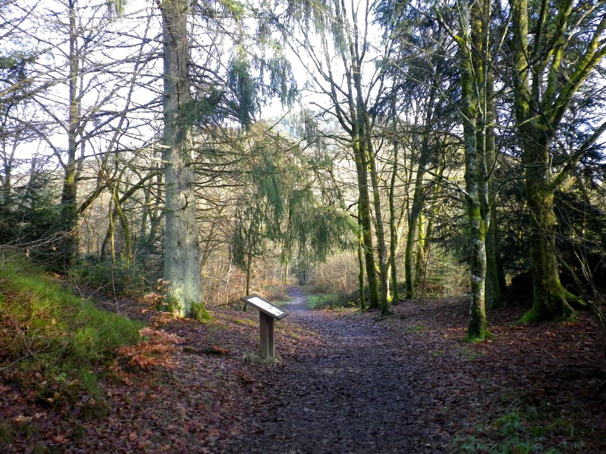 Sentier d'interprtation