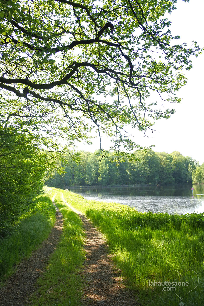 st-germain-mont-revaux-chemin-etang