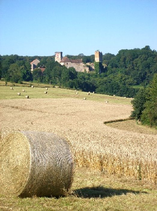 Un chteau rural