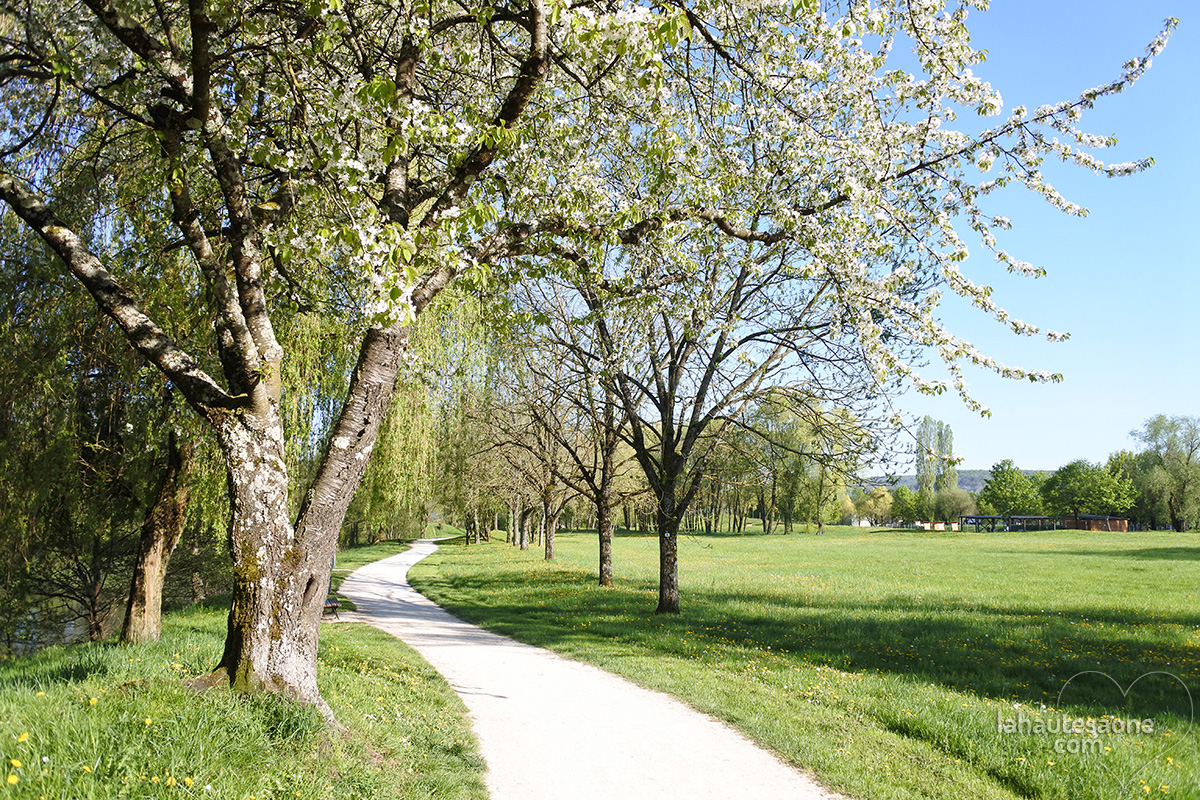 vesoul-chemin