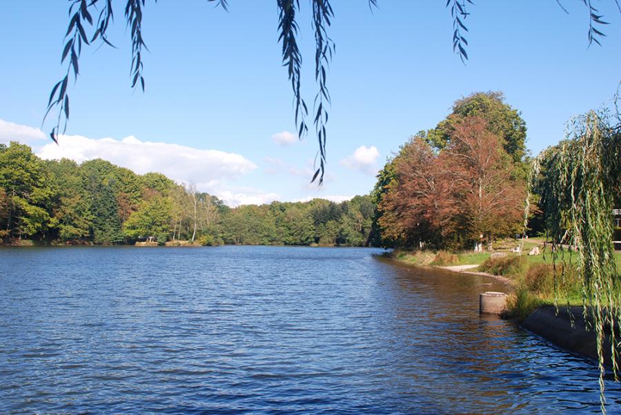 Etang des 7 chevaux