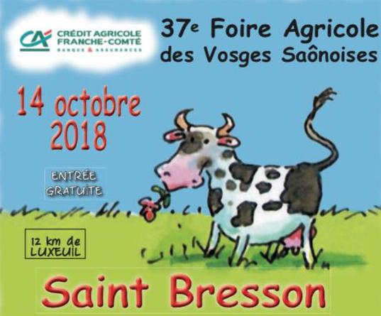 Foire de Saint-Bresson