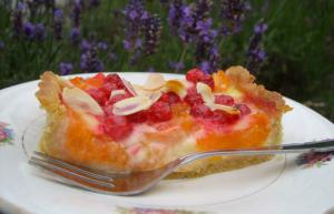 Tarte gourmande aux abricots et aux groseilles 